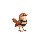 The Blue-Gold companion