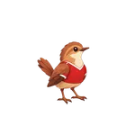 The Rojo companion
