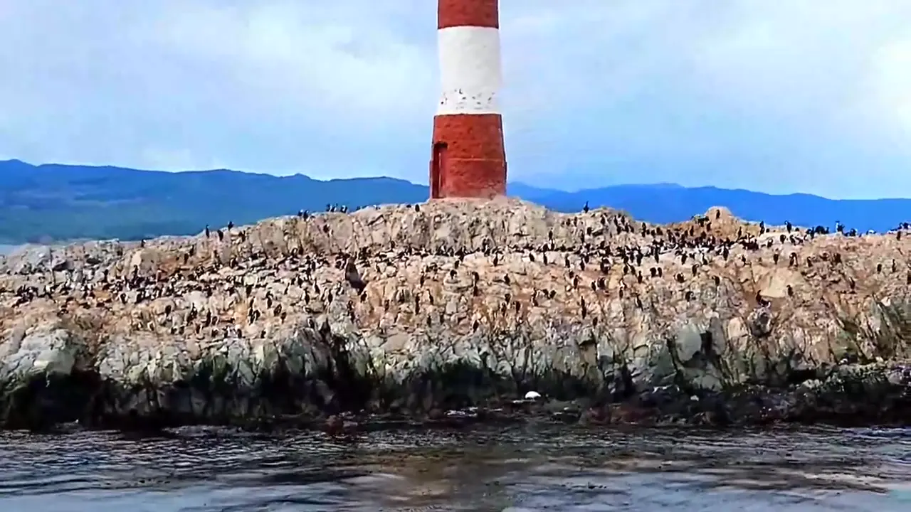 Les Eclaireurs lighthouse area, Beagle Channel, Ushuaia, Tierra del Fuego